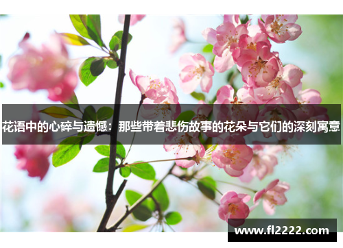 花语中的心碎与遗憾：那些带着悲伤故事的花朵与它们的深刻寓意