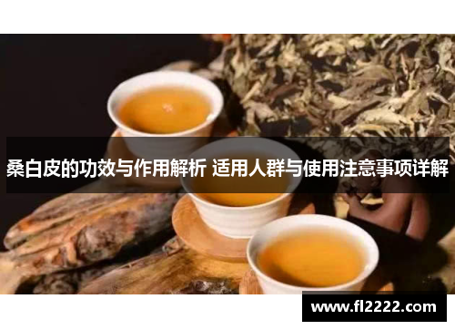 桑白皮的功效与作用解析 适用人群与使用注意事项详解 桑白皮的功效与作用解析 适用人群与使用注意事项详解