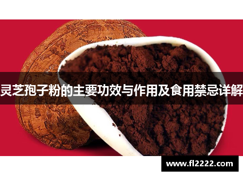 灵芝孢子粉的主要功效与作用及食用禁忌详解 灵芝孢子粉的主要功效与作用及食用禁忌详解