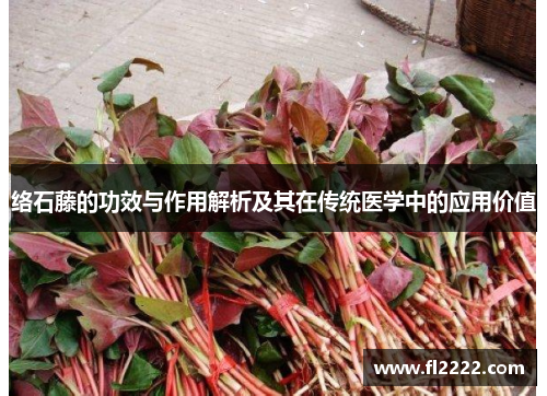 络石藤的功效与作用解析及其在传统医学中的应用价值